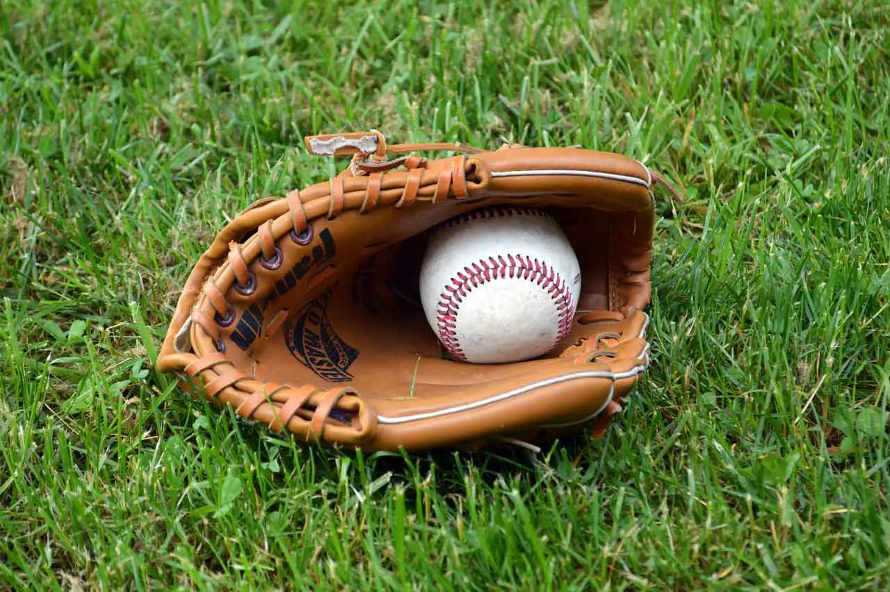 what to look for in a baseball glove